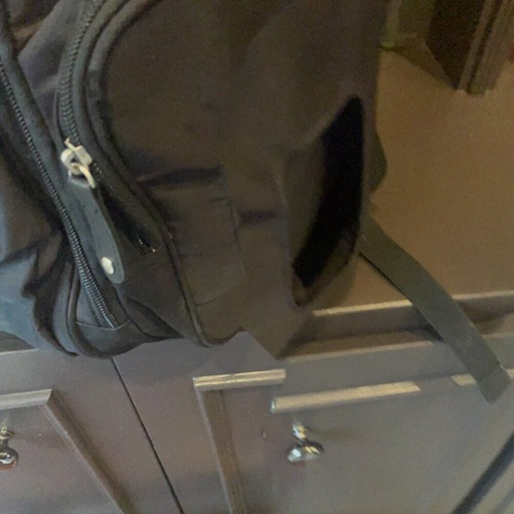 BAG NATION EXTRA LARGE DIAPER BAG BACKPACK Preowned - Picture 3 of 5